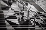 Leo van Vliet - www.focusview.nl - Reisfotografie